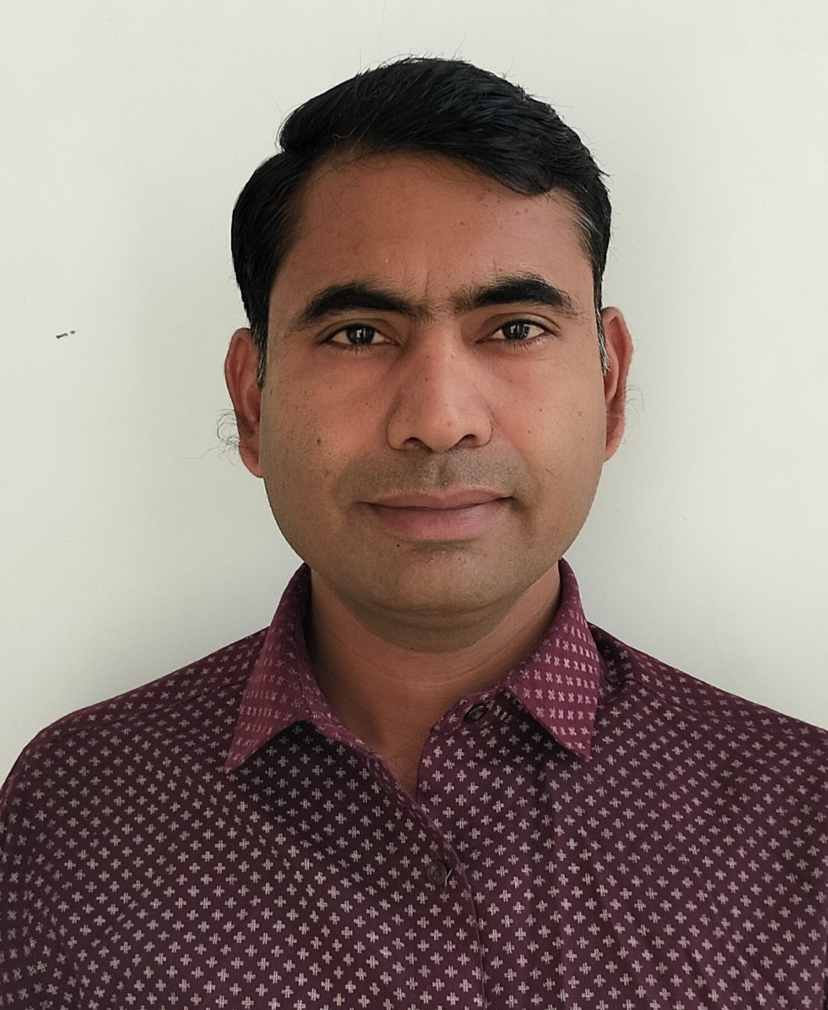 Raju Puri Goswami